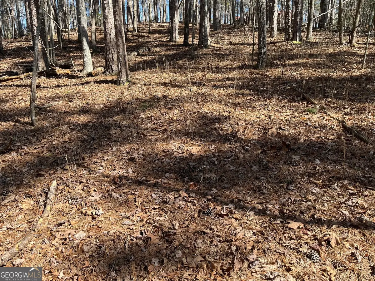 630 N Armor Way, Ellijay, GA 30540 - #1