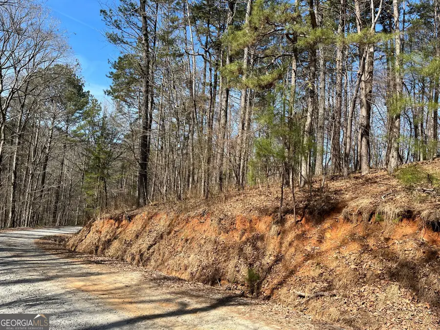 630 N Armor Way, Ellijay, GA 30540 - #2