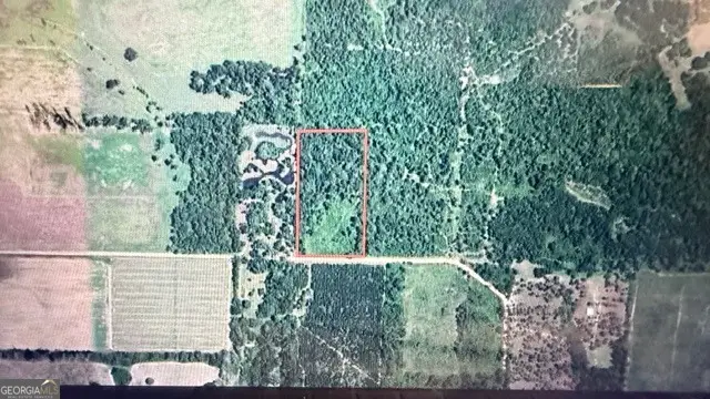 LOT 122 Alday Rd, Bainbridge, GA 39819 - #3