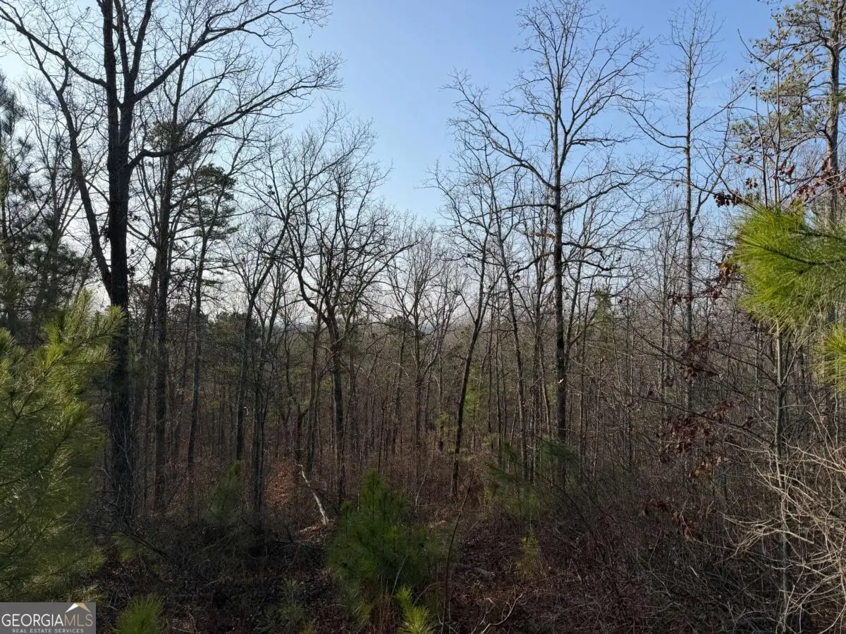0 Lower Sweetwater Road, Canton, GA 30114 - #1