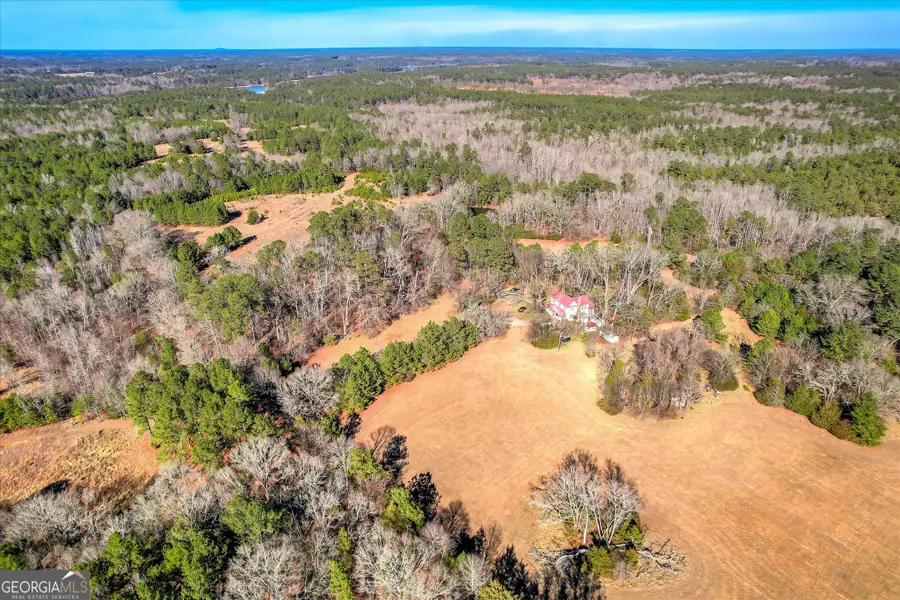 1138 Ben Lane, Lincolnton, GA 30817 - #3