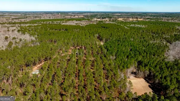 1401 Messex Road, Millen, GA 30442