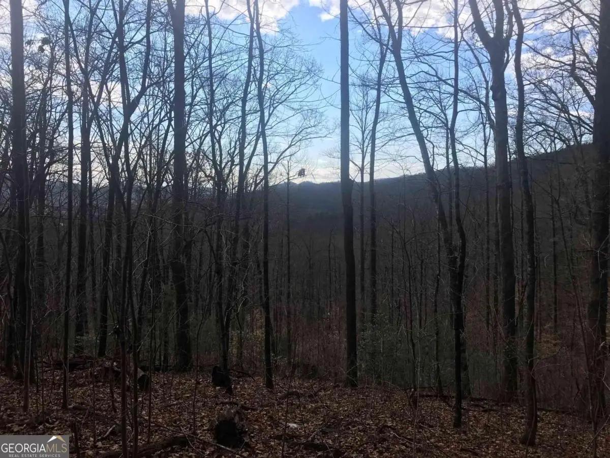 0 Shadow Mountain, Dillard, GA 30537 - #1