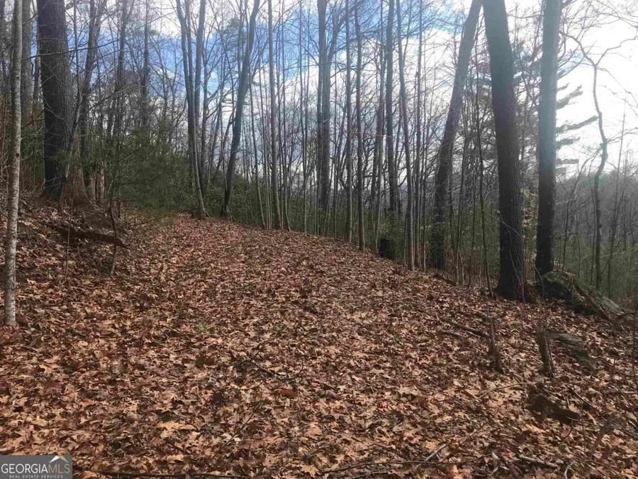 0 Shadow Mountain, Dillard, GA 30537 - #2