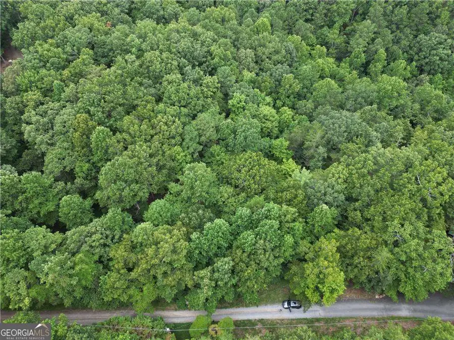 0 S Twin Oaks Drive, Ellijay, GA 30540 - #3