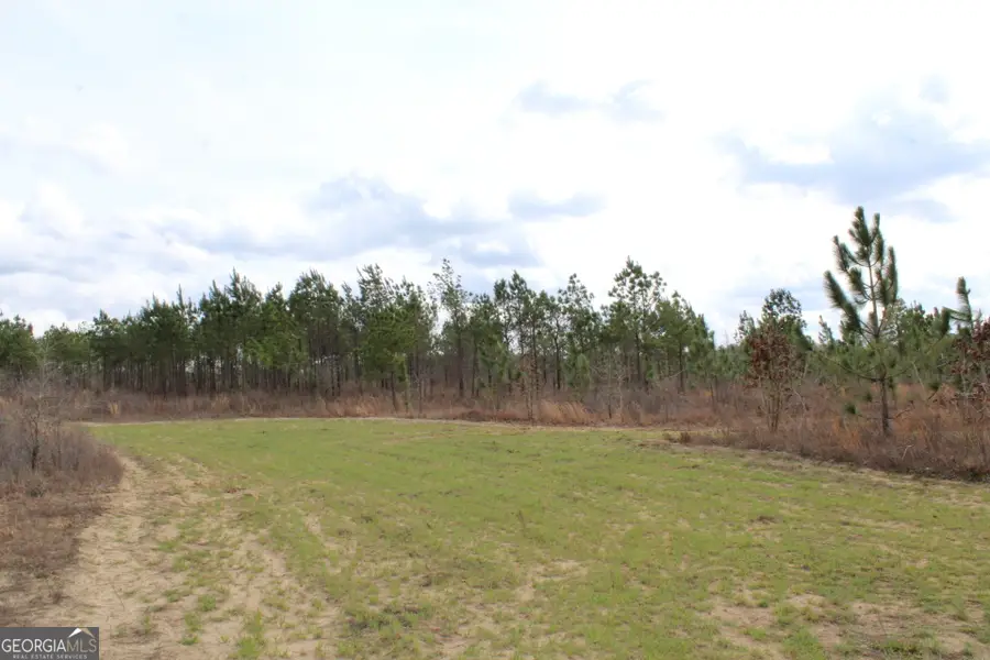 130.518 AC Ronnie Road, Buena Vista, GA 31803 - #3