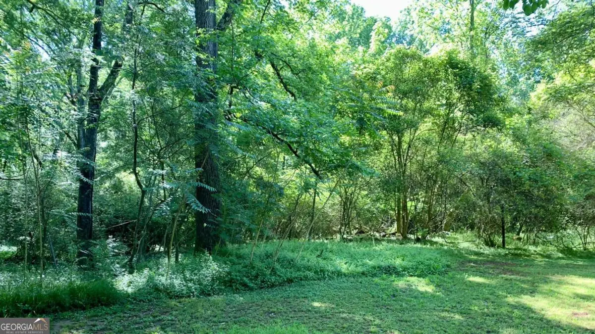 0 S Tanglewood Drive, Royston, GA 30662 - #1
