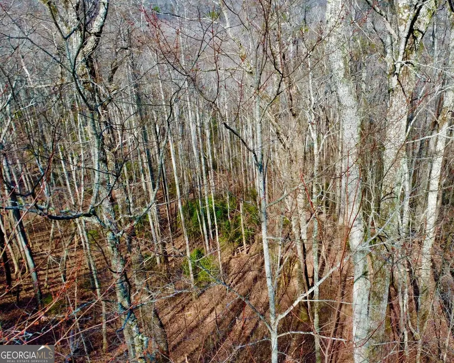 120 Croft Mountain Road, Blairsville, GA 30512 - #3