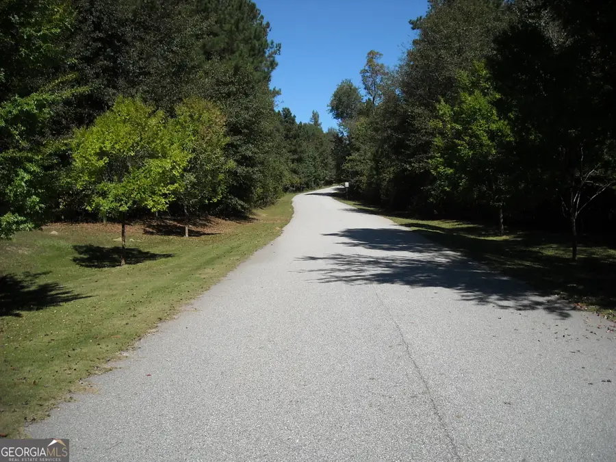 TRACT 2 Rivers Road, Fayetteville, GA 30214 - #3