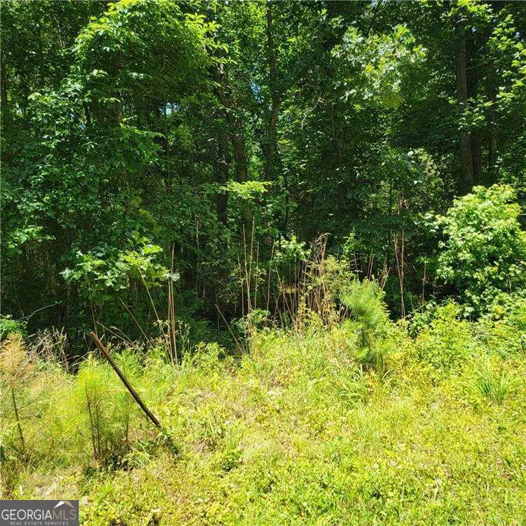 0 Spring Hill Drive, Covington, GA 30016 - #2