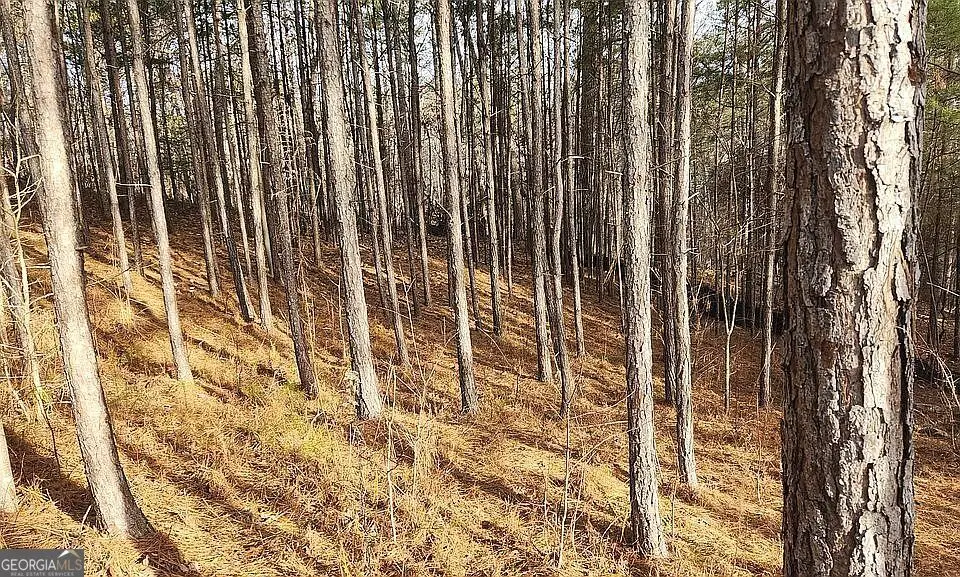 0 Whistler Lane, Canton, GA 30114 - #1