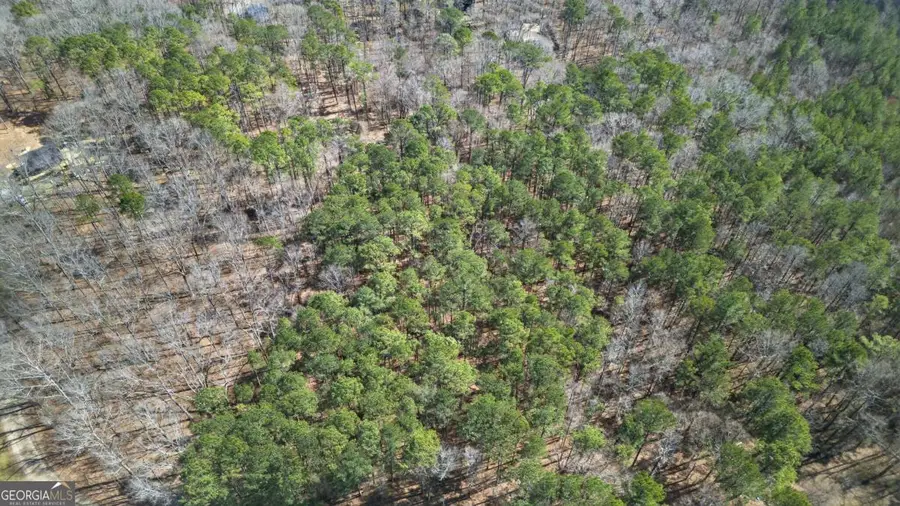 0 Northcutt Road, Fairburn, GA 30213 - #3