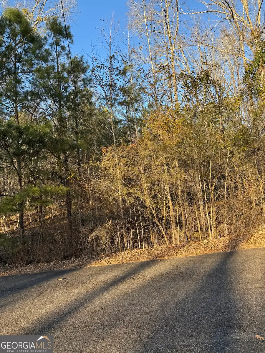 104 N Little River Run, Eatonton, GA 31024 - #3