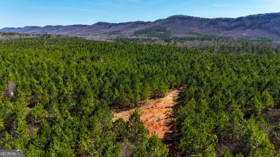 0 Highway 100, Summerville, GA 30747 - #2