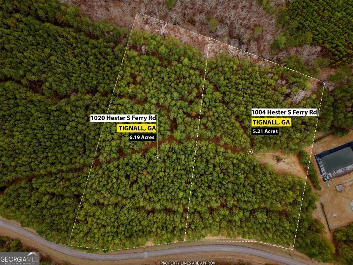 1004 Hesters Ferry Road, Tignall, GA 30668 - #1