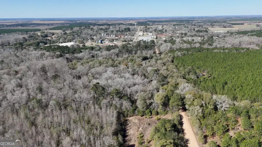 0 Highway 90, Byromville, GA 31007 - #3