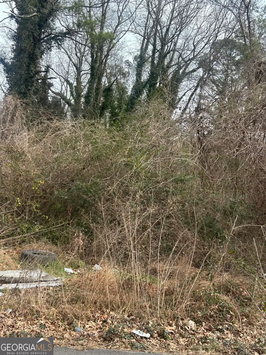 4581 White City Road, Atlanta, GA 30337 - #2