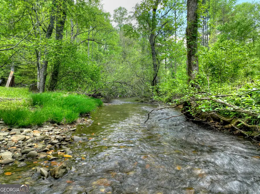 14092 Big Creek Road, Cherry Log, GA 30522 - #2