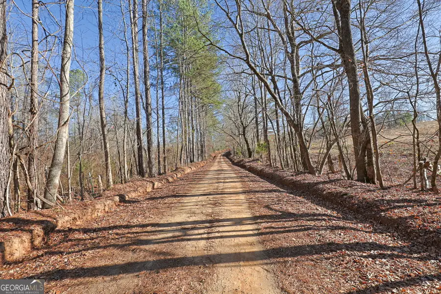 TRACT 2 - 0 St. Paul Church Road, Shiloh, GA 31826 - #2