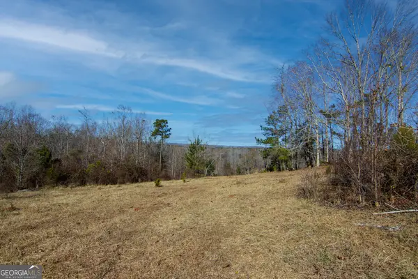 TRACT 6 - 0 Chestnut Grove Road, Shiloh, GA 31826