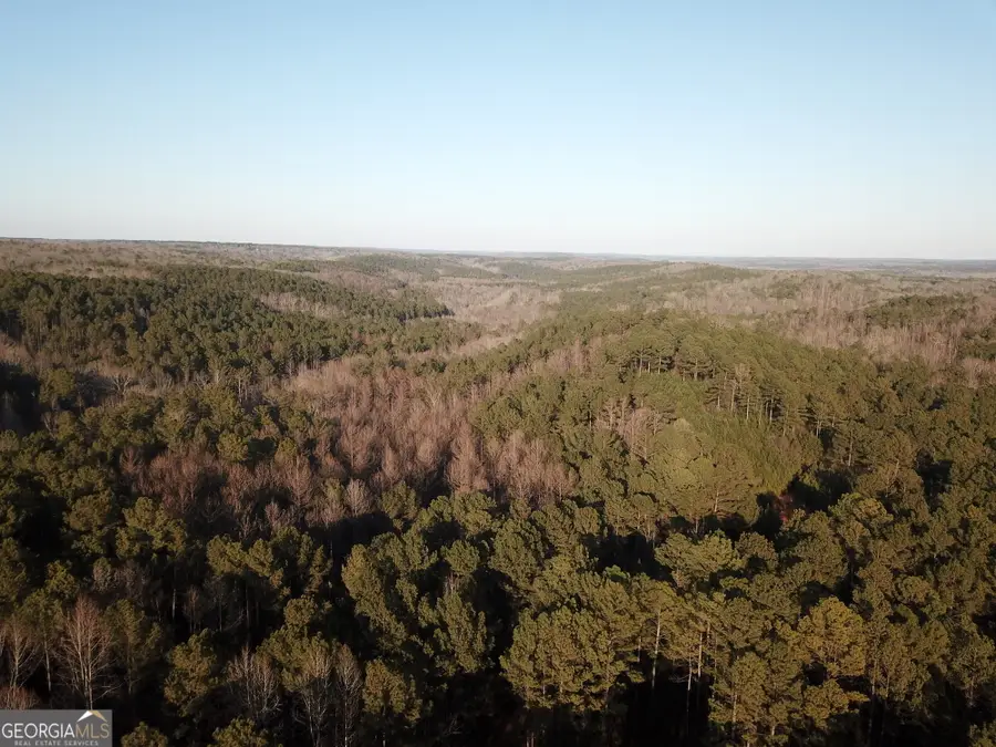 0 - TRACT 3 Mt Zion Church Road, Whitesburg, GA 30185 - #3