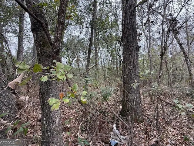 V/L 40 Satilla River Landing, Woodbine, GA 31569 - #2