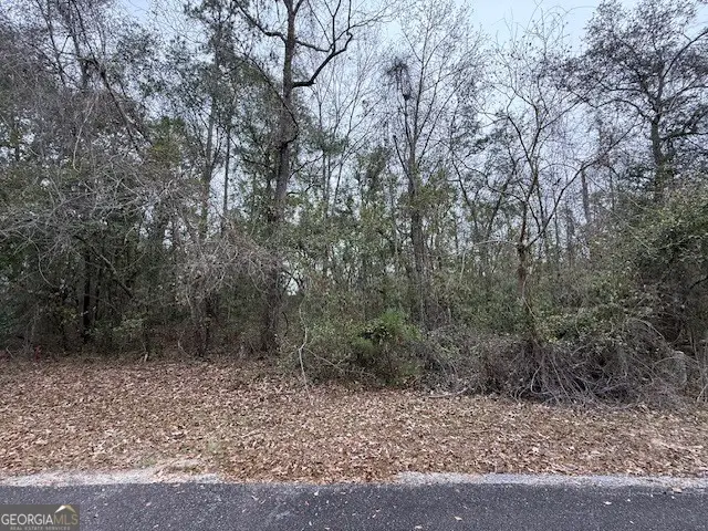 V/L 40 Satilla River Landing, Woodbine, GA 31569 - #3