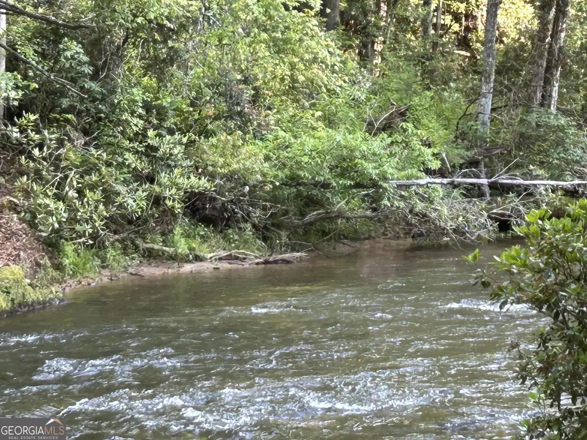 0 Rivers End Trail, Suches, GA 30572 - #1