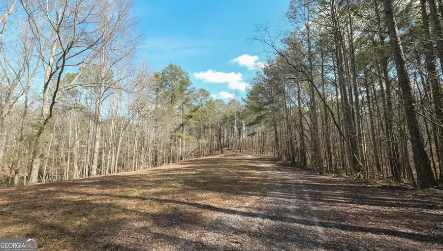 0 County Road 243, Wedowee, AL 36278 - #2