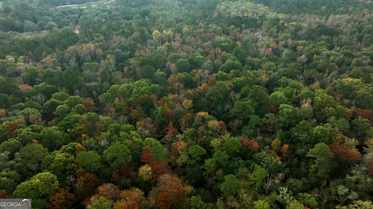 0 Twin Forks Rd/martin Road #TRACT 2, Statesboro, GA 30458 - #1