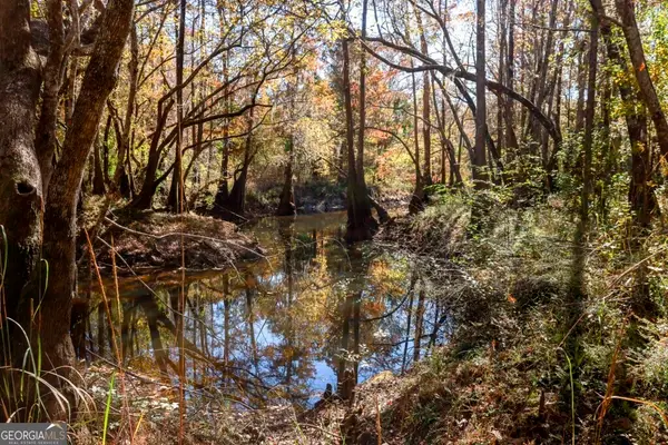 0 Twin Forks Rd/martin Road #TRACT 5, Statesboro, GA 30458