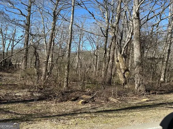 LT 167 Henderson Mountain Road, Jasper, GA 30143