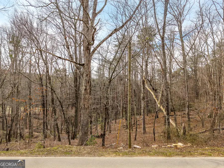 LT 167 Henderson Mountain Road, Jasper, GA 30143 - #3