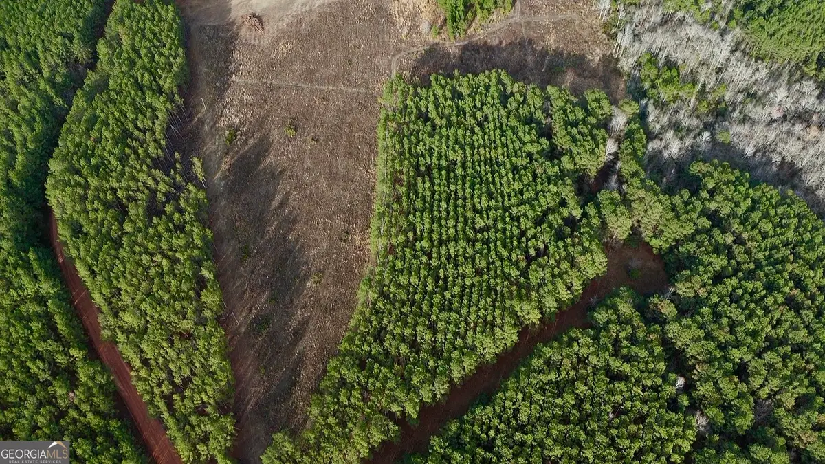 0 Harmony Ln Lot 10b, Milan, GA 31060 - #1