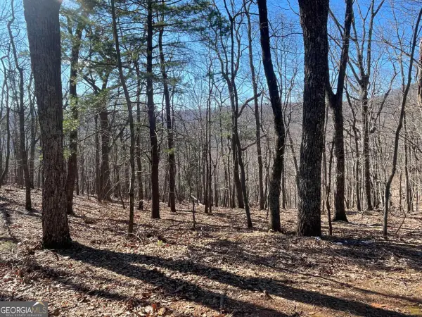 47 Bell Flower Drive, Jasper, GA 30143