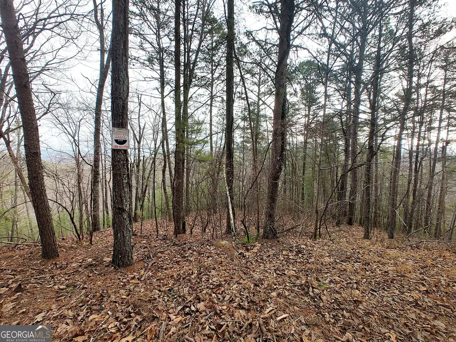 1036 Astro Court Ne, Ranger, GA 30734 - #3