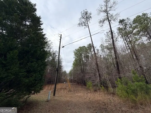 470/510 Ivey Farms Road, McIntyre, GA 31054 - #2