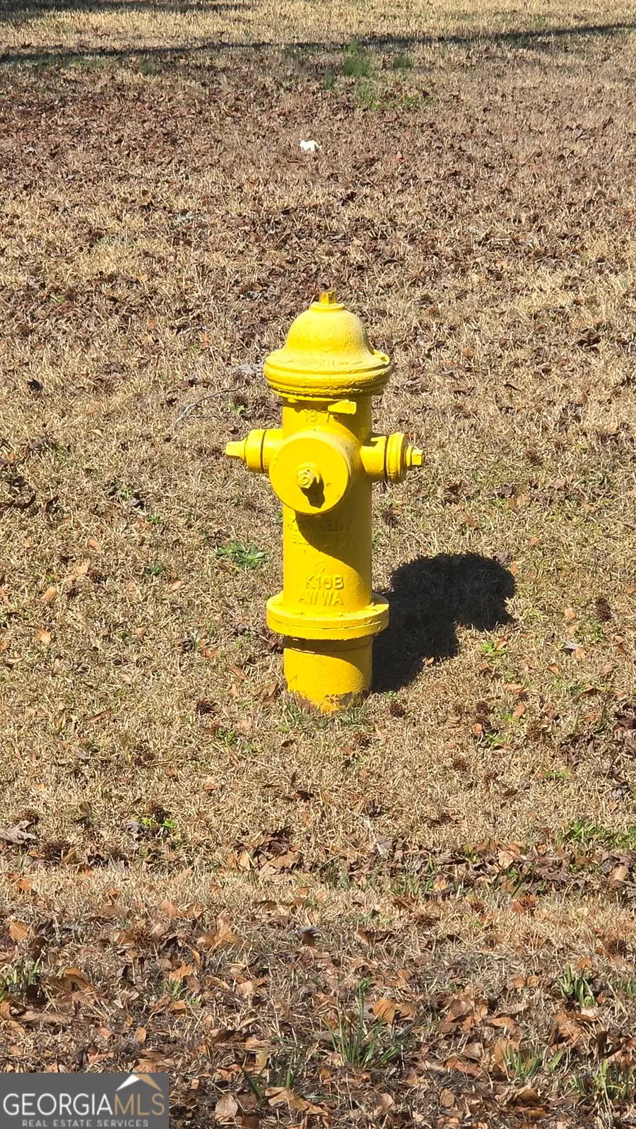 1114 Spring Creek Circle, Griffin, GA 30223 - #3