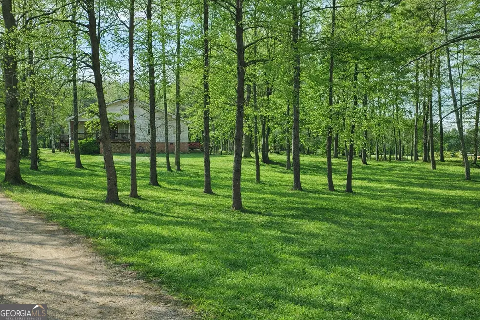 218 Cedar Hollow Road, Cleveland, GA 30528 - #1