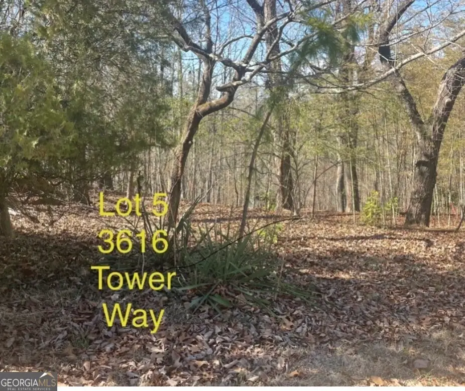 3616 Tower Way, Gainesville, GA 30501 - #1