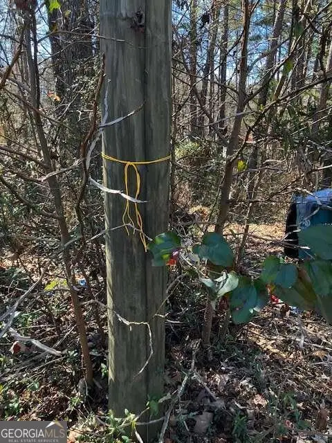 339 N Century Drive, Martin, GA 30557 - #3