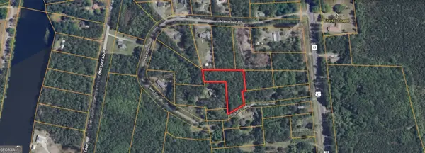 0 Lewis Lane #1, Townsend, GA 31331