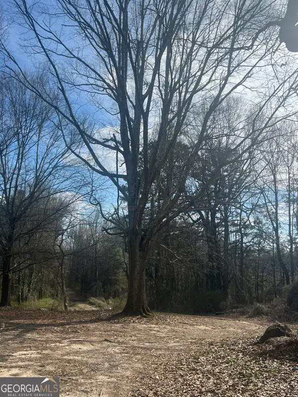 98 Pine Shadows Drive, Dallas, GA 30157