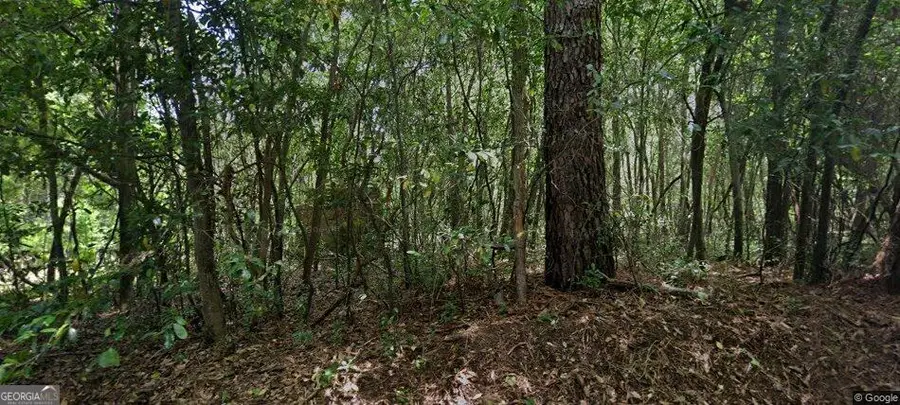 3335 Esther Drive, Macon, GA 31217 - #2