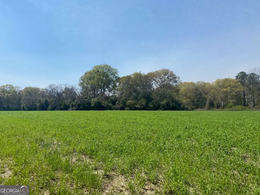 0 Moseley Road, Byron, GA 31008 - #2