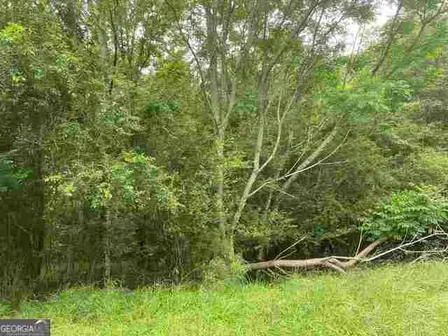0 River Birch Lane #LOT 9, Colbert, GA 30628 - #1
