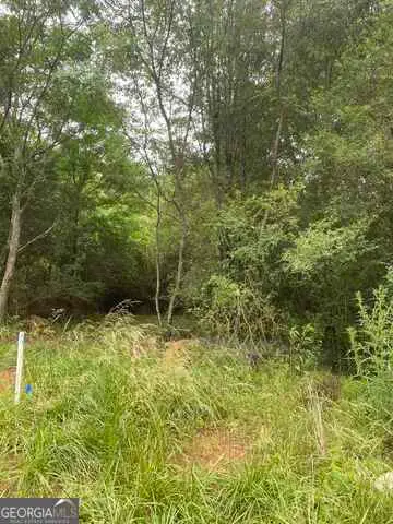 0 River Birch Lane #LOT 9, Colbert, GA 30628 - #2