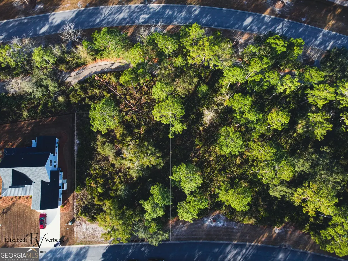 490 Blue Heron Trail, Waverly, GA 31565 - #1