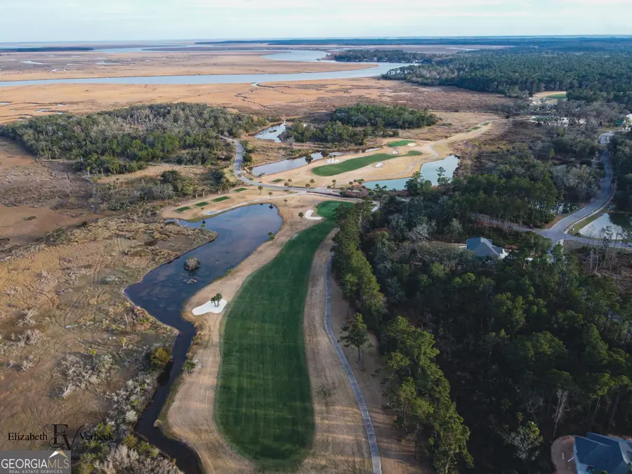 490 Blue Heron Trail, Waverly, GA 31565 - #3