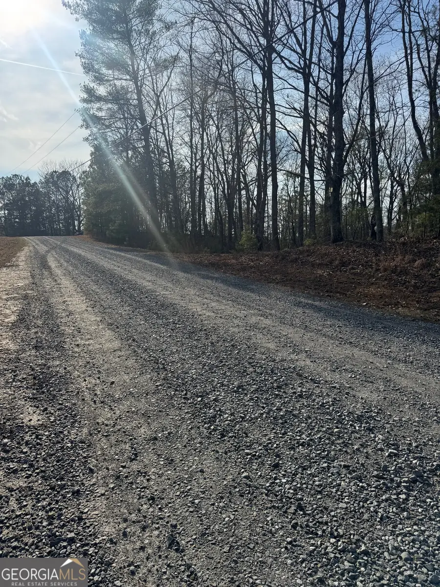 208 Lake Forest Drive, Ellijay, GA 30540 - #2